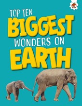 Top Ten Biggest Wonders on Earth