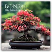Bonsai - Bonsaibäume 2026 - 16-Monatskalender