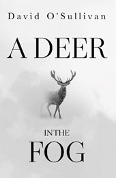 A Deer in the Fog