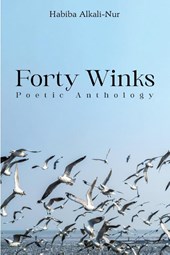 Forty Winks: Poetic Anthology