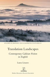 Translation Landscapes