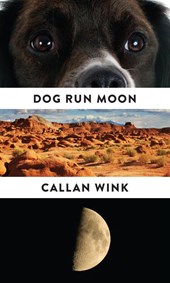 Dog Run Moon