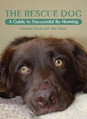 The Rescue Dog