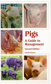 Pigs