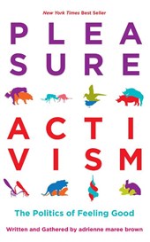 Pleasure Activism