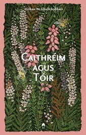 Caithreim Agus Toir