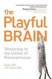 The Playful Brain