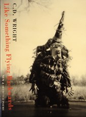 Like Something Flying Backwards