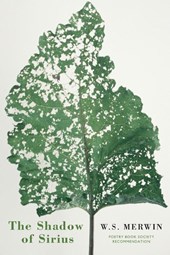 The Shadow of Sirius