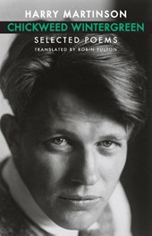 Chickweed Wintergreen