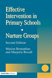 Effective Intervention in Primary Schools