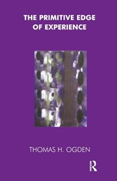 The Primitive Edge of Experience