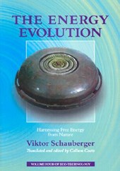 The Energy Evolution