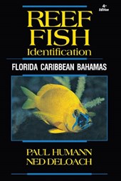 Reef Fish Identification
