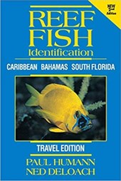 Reef Fish Identification TRAVEL