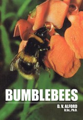 Bumble Bees