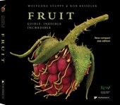 Fruit