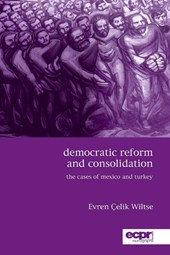 Democratic Reform and Consolidation