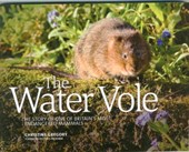 The Water Vole