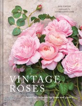 Vintage Roses