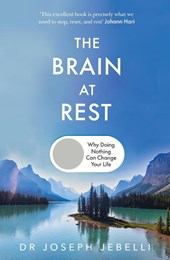 The Brain at Rest