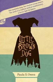Little Brown Dog