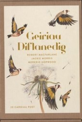 Geiriau Diflanedig