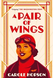 A Pair of Wings