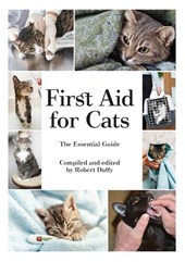 First Aid For Cats