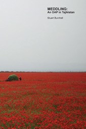 MEDDLING: An OAP in Tajikistan