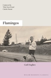 Flamingos