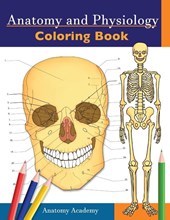 Anatomy and Physiology Coloring Book