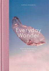 Everyday Wonder