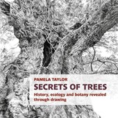 Secrets of Trees