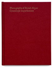 Cyanotype Imperfections