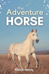 The Adventure Horse
