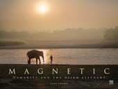 Magnetic