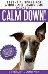 Essential Skills for a Brilliant Family Dog