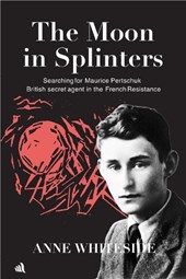 The Moon in Splinters