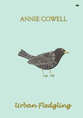 Urban Fledgling