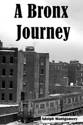 A Bronx Journey