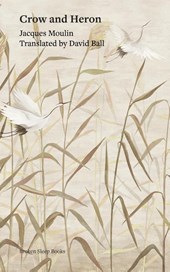 Crow and Heron