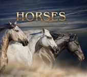 Horses: a Soulful Equestrian Photography Coffee Table Book
