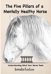 The 5 Pillars of a Mentally Healthy Horse