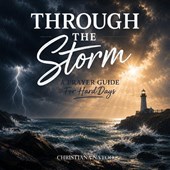 Through the Storm