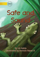 Safe and Sound