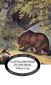 Little Brother to the Bear