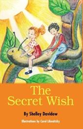 The Secret Wish