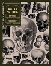 Skulls and Skeletons