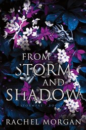From Storm and Shadow